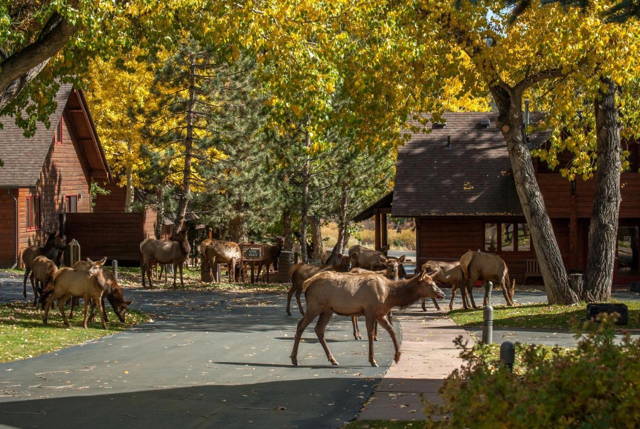 Rams Horn Village Resort Estes Park Exteriör bild