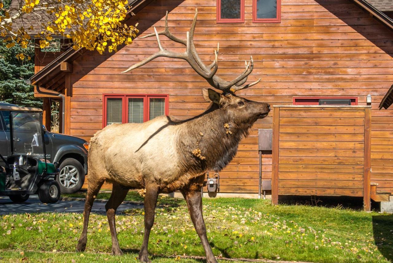 Rams Horn Village Resort Estes Park Exteriör bild